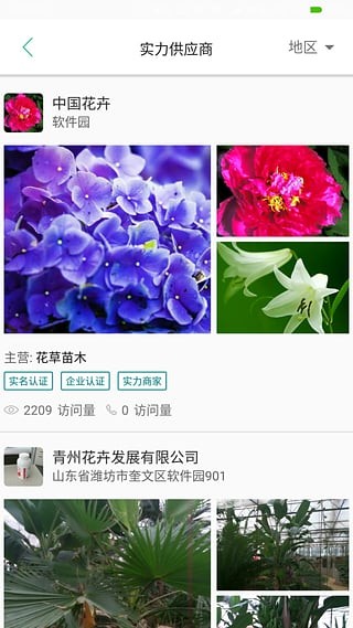 选花网v1.1.1截图2