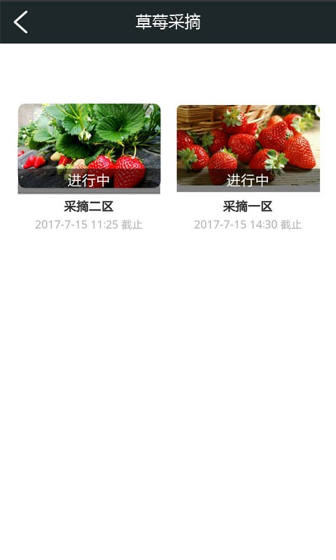 潼绿草莓v1.0截图4