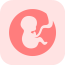 胎教孕期食谱v1.1.0