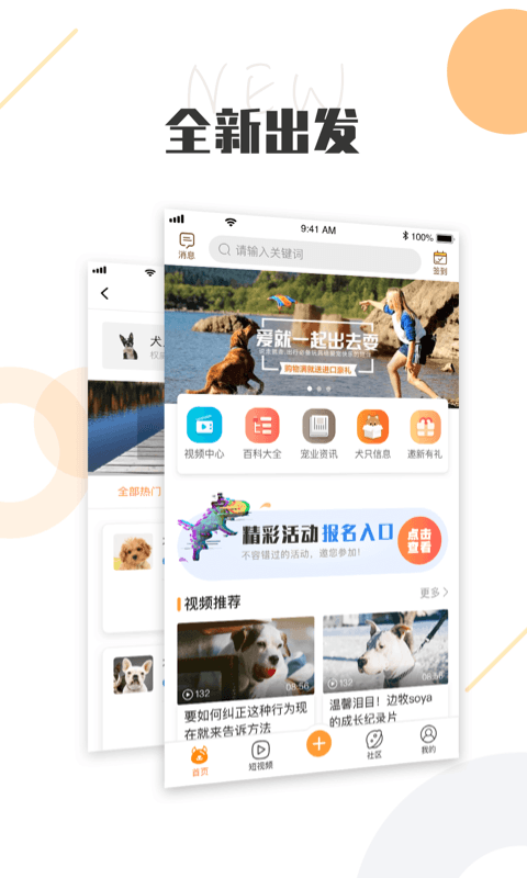 中国K9犬网v2.2截图1