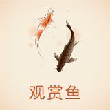 中國(guó)觀賞魚v2.0