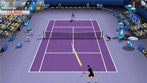 3D网球v1.7.1截图3
