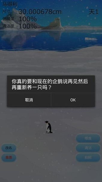 治愈的企鹅育成v3.1截图4