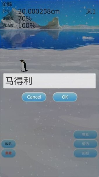 治愈的企鹅育成v3.1截图1