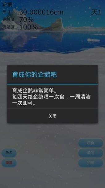 治愈的企鹅育成v3.1截图2