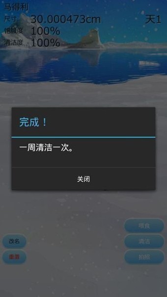 治愈的企鹅育成v3.1截图5