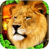 狮子模拟器v1.1