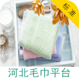 河北毛巾平台v1.0
