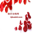 儈計(jì)女性網(wǎng)v2.0