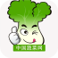 中国蔬菜网v1.0