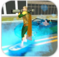 水滑板城市英雄3Dv1.0