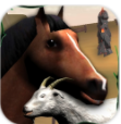 牧场动物模拟器v1.05