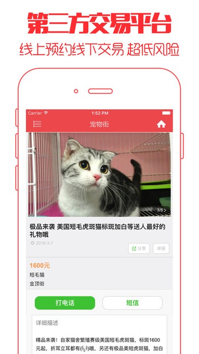 云养猫v1.0.0截图2