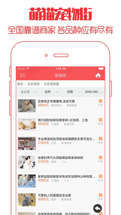 云养猫v1.0.0截图3