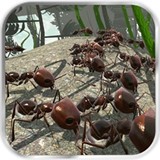 蚂蚁模拟v2.5.2