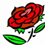 玫瑰庄园v1.0.0