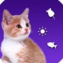 逗猫养猫助手v1.5