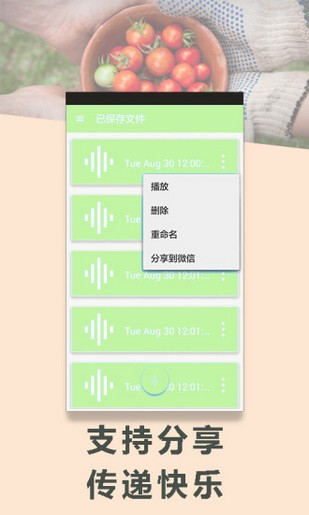 变声专家v9.0钻石版截图2