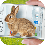 手机的小兔子v1.1