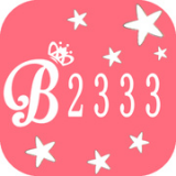 B233v3.1