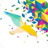 一个奇鸽v1.6.8最新版