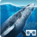 海洋世界VR2v3.0.2