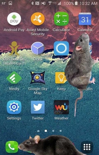 大鼠在屏幕上v1.4截图1