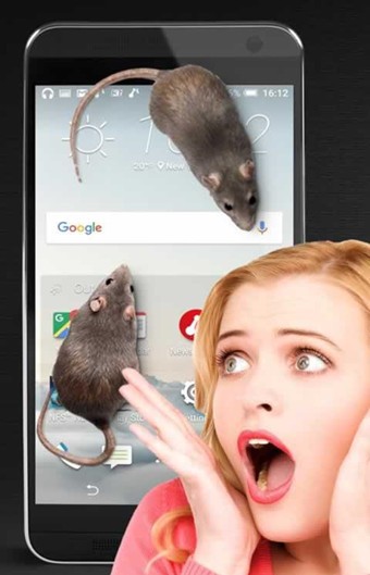 大鼠在屏幕上v1.4截图2