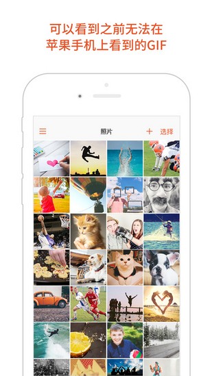 GIF Viewerv1.0.0截图2