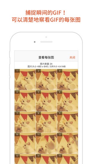 GIF Viewerv1.0.0截图5