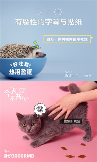 猫饼短视频v2.0.0截图3