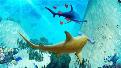 锤头鲨模拟3Dv1.0.0截图2