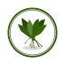 河北绿色环保行业平台v5.0.0