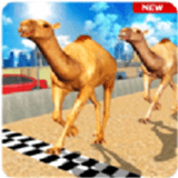 骆驼模拟器v1.2