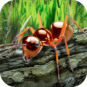 蚂蚁生存模拟器v1.01