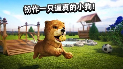 在狗狗小屋里v2.2.3截图2