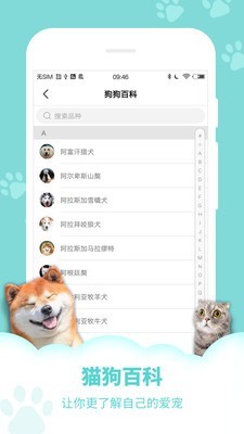 人狗人猫交流器v9.10.15截图4