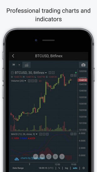 Bitfinex交易平台v1.0.0截图4