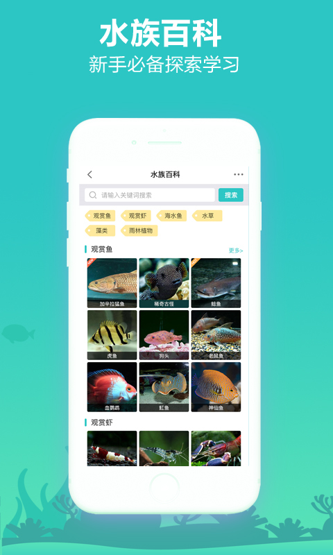 泡泡水族截图3