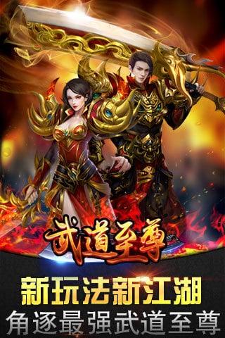 武道至尊百度版截图1