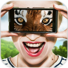 动物眼睛模拟器最新手机版
