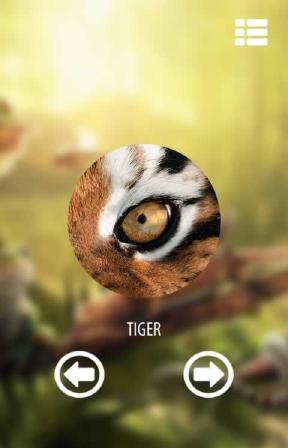 动物眼睛模拟器最新手机版截图1