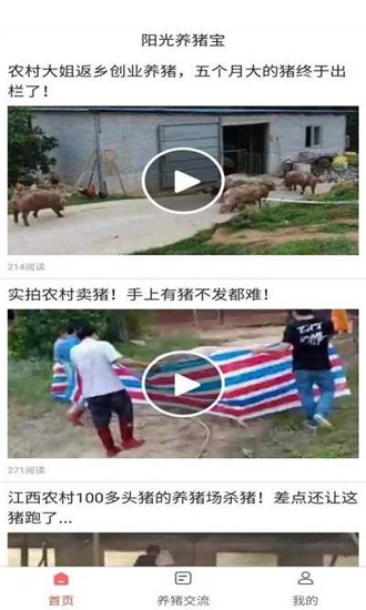 阳光养猪宝截图4