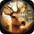 模拟猎人九游版