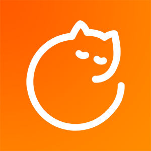 橙猫生活