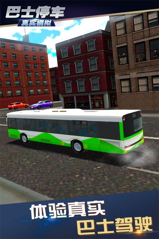 真实模拟巴士停车截图1