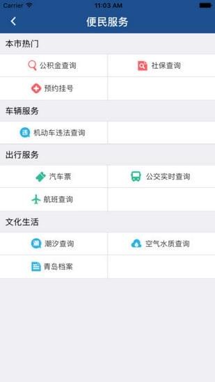 青岛12345网上投诉平台截图2