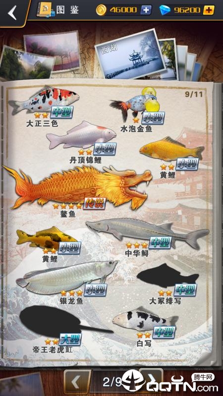 世界钓鱼之旅无限金币版截图4