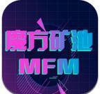 魔方礦池MFM