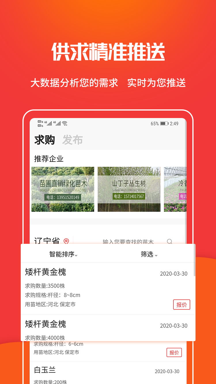 苗木网截图3